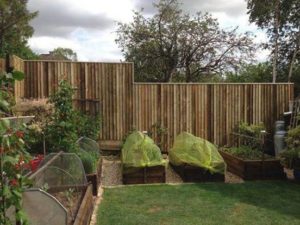 Fencing has always been at the core of our story. Our success has been built on installing great looking fences for our clients. A perfectly installed fence provides the backdrop to any well maintained garden. We now offer both wooden and composite fences to suit the style of your property.